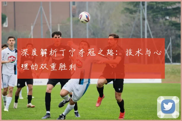 深度解析丁宁夺冠之路：技术与心理的双重胜利