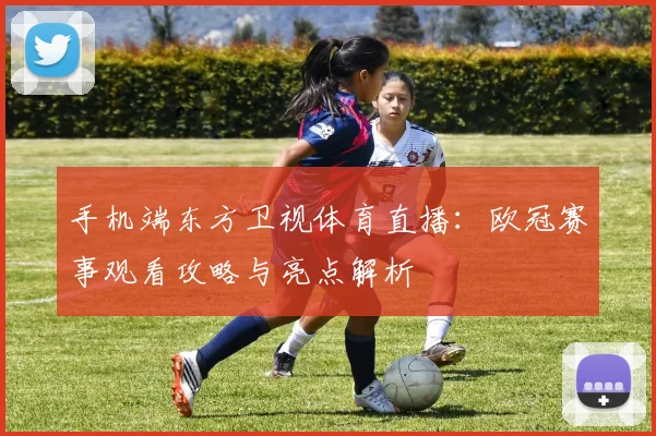 手机端东方卫视体育直播:欧冠赛事观看攻略与亮点解析