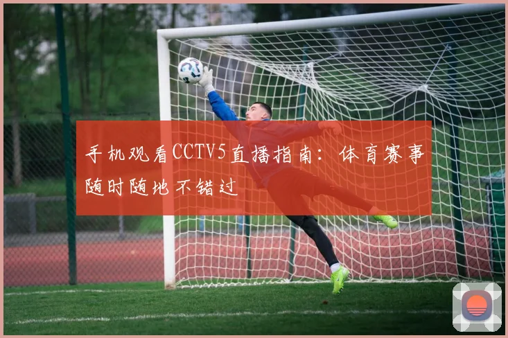 手机观看CCTV5直播指南：体育赛事随时随地不错过