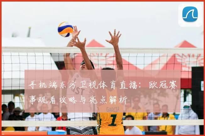 手机端东方卫视体育直播：欧冠赛事观看攻略与亮点解析